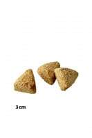 Crunchy dog biscuit